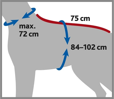 Grauer Trixie Bademantel Hund – Größenvergleich
