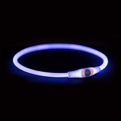 Trixie USB Leuchthalsband Blau – Hund trägt beleuchtetes Halsband bei Nacht