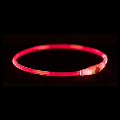 Hunde-Leuchthalsband Trixie USB – im Dunkeln leuchtend Blitzlicht
