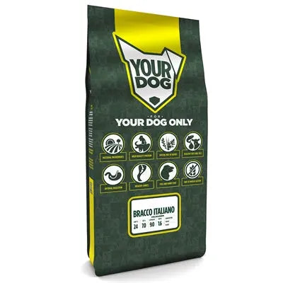 Yourdog Bracco Italiano Erwachsene