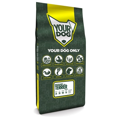 Yourdog Brasilianischer Terrier Senior