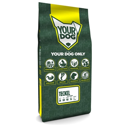 Yourdog Dackel Erwachsen
