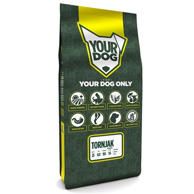 Yourdog Zerrissener Jack Senior