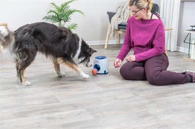 Trixie Hund Aktivität Strategie Spiel Ball &amp; Leckerli Hellgrau / Blau