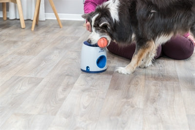 Trixie Hund Aktivität Strategie Spiel Ball &amp; Leckerli Hellgrau / Blau