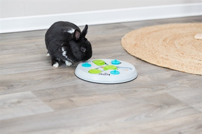 Trixie Slide&amp;Funboard Kunststoff