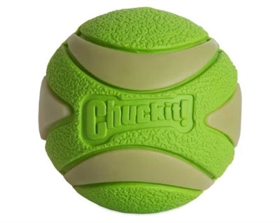 Chuckit Max Glow Ultra Squeaker Ball in Grün – leuchtender Hundeball mit Quietscher