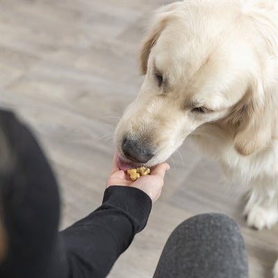 Trixie Backmatte Mit Hundeknochen Aus Silikon