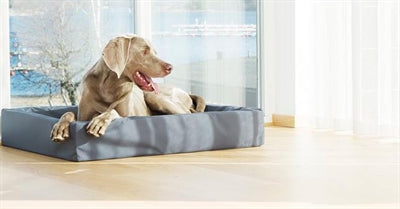Bia Bett Kunstlederbezug Hundekorb Grau