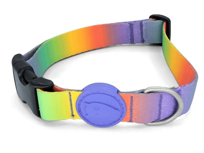 Morso Hundehalsband recycelt Spring Blossom Blütenmuster robust nachhaltig