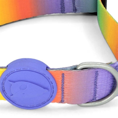Morso Halsband Frühlingsblüte am Hund getragen recyceltes Material