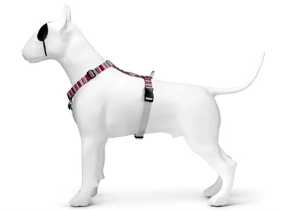 Morso Hundegeschirr H-Leine Skyline Rot Rosa recycelt seitliche Ansicht angelegt