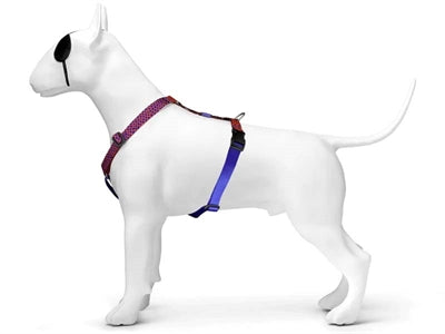 Morso Hundegeschirr H-Rig Urban Lizard Rot recycelt seitliche Ansicht angelegt
