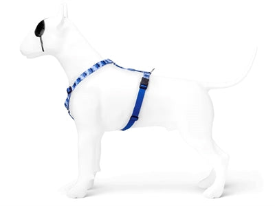 Morso H-Geschirr recycelt Splash blau seitliche Ansicht angelegt – Hundegeschirr nachhaltig verstellbar bequem robust