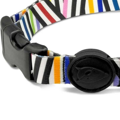 Morso Hundehalsband recycelt Spaghetti Vorfall bunt am Hund getragen – Halsband nachhaltig recycelt elegant