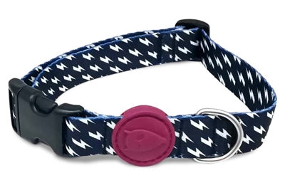 Morso Hundehalsband recycelt Power Flow schwarz robustes nachhaltiges Halsband