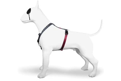 Morso Hundegeschirr H-Leine seitliche Ansicht angelegt – H-Geschirr Hund verstellbar bequem Spaziergang