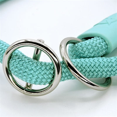 Morso Halbschlupfhalsband Seil aquamarinblau am Hund getragen – Halsband Morso Seil blau Spaziergang Training