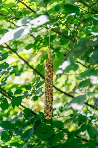 Trixie Snack-Riegel Mit Hirse