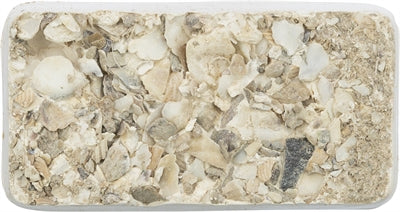 Trixie Pickstein mit Muschelmineralien und Muscheln für Vögel