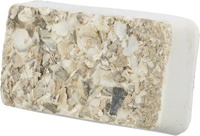 Trixie Pickstein Muschelmineralien seitliche Ansicht – Vogel Mineralstein Calcium Muscheln