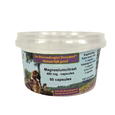Dierendrogist Magnesiumcitrat-Kapseln Nahaufnahme Kapseln – Haustier Magnesium Supplement Detail