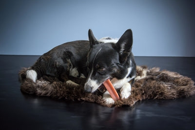 Henart Yak-Käse Erdbeergeschmack Nahaufnahme rosa Farbe – Hundesnack Yakkäse fruchtig Erdbeere