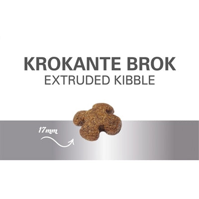 Prins Auswahl Huhn Reis Hundefutter Kroketten Nahaufnahme – Trockenfutter Geflügel Kibble Textur