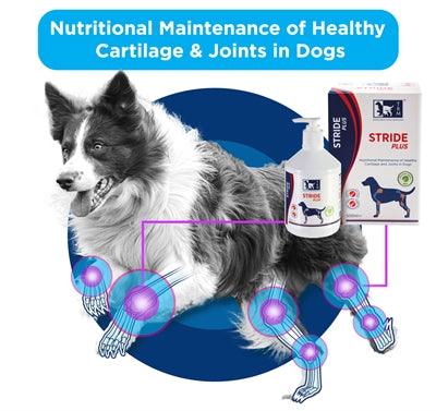TRM Stride Plus Gelenkflüssigkeit Nahaufnahme Verschluss – Gelenkergänzung Hund Flasche Detail