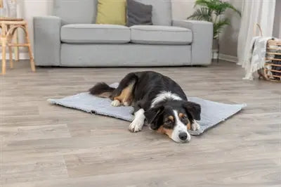 Trixie Hundedecke Reisedecke Amy Grey