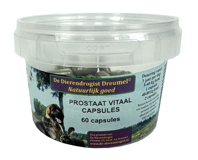 Dierendrogist Prostata Vital Kapseln Nahaufnahme Inhalt – Ergänzungsmittel Hund Prostata Kapsel Pflege
