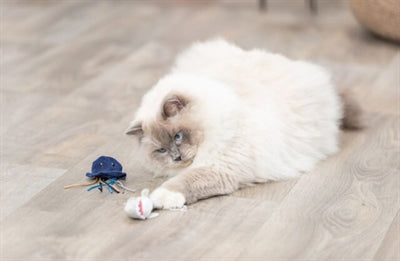 Trixie Meerestier Plüsch Mit Katzenminze Sortiert