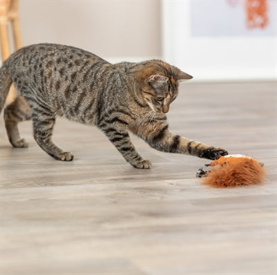 Trixie Eichhörnchen Plüsch mit Katzenminze Nahaufnahme – Spielzeug Katze Federschwanz Detail