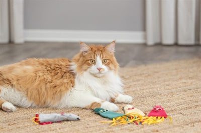 Trixie Plüschmaus mit Katzenminze sortiert Detailansicht – Katzenspielzeug Maus Nahaufnahme
