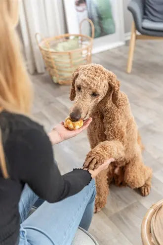 Trixie Collagen Denta Fun Twists Mit Huhn