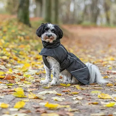 Trixie Hundemantel Winter Brizon Schwarz