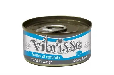 Vibrisse Katze Tony