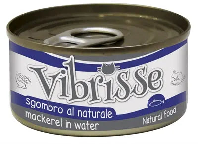 Vibrisse Katze Makreel
