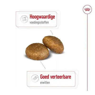Royal Canin Maxi Erwachsener