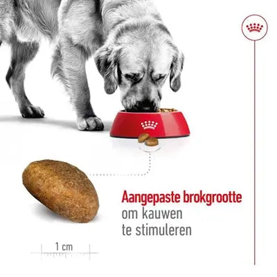 Royal Canin Maxi Erwachsener