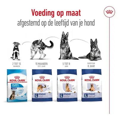 Royal Canin Maxi Erwachsener