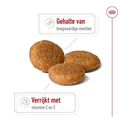 Royal Canin Medium Erwachsen