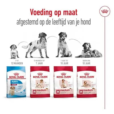 Royal Canin Medium Erwachsen