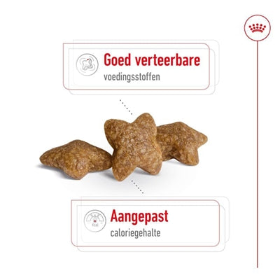 Royal Canin Mini Erwachsener Trockenfutter – Hundefutter kleine Rassen Kroketten Beutel