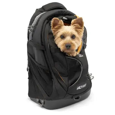 Kurgo G-Train Rucksack Schwarz