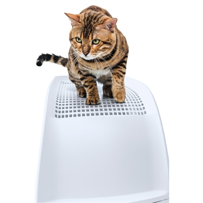 Imac Katzentoilette Frida hellblau Nahaufnahme – hygienisches Katzenklo Auszugsystem Detail