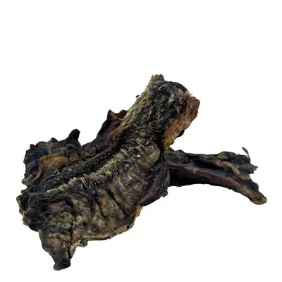 Petsnack Buffelkus