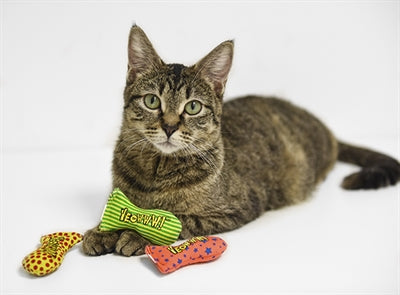 Yeowww Stinkekrug Rückansicht – Katzenspielzeug handgenäht Baumwolle Katzenminze Oberseite