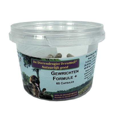 Dierendrogist Gelenkformel+ Verpackung – Gelenkschutz-Kapseln für Hunde und Katzen