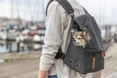 Trixie Be Nordic Hund Rucksack Bjorn Schwarz